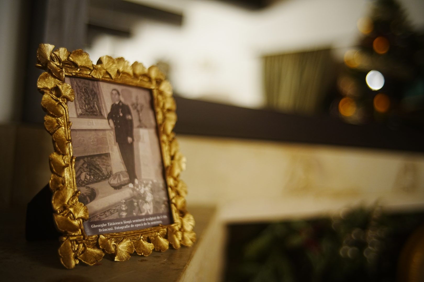 Casa Gheorghe Tătărescu din București: edificiu de memorie între interbelic și contemporaneitate la EkoGroup Vila